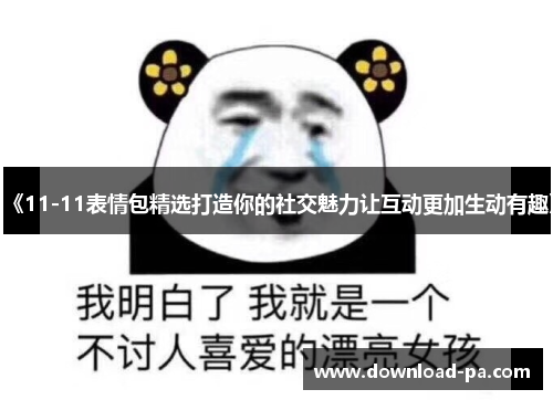 《11-11表情包精选打造你的社交魅力让互动更加生动有趣》