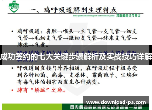 成功签约的七大关键步骤解析及实战技巧详解