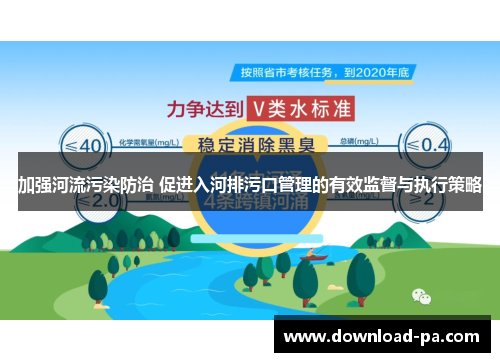 加强河流污染防治 促进入河排污口管理的有效监督与执行策略
