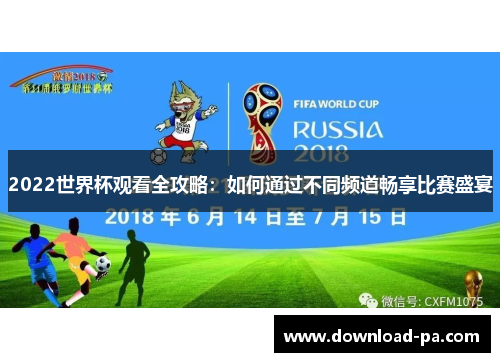 2022世界杯观看全攻略：如何通过不同频道畅享比赛盛宴