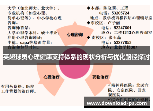 英超球员心理健康支持体系的现状分析与优化路径探讨